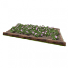 Madagascar Periwinkle Flower Bed, Log